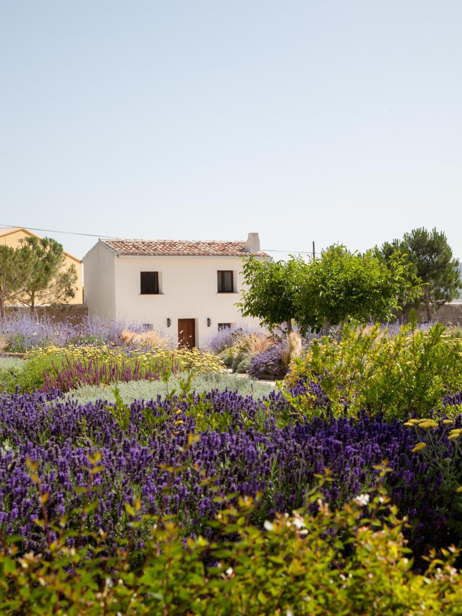 Quinta San Francisco Ξενοδοχείο Castrojeriz Εξωτερικό φωτογραφία