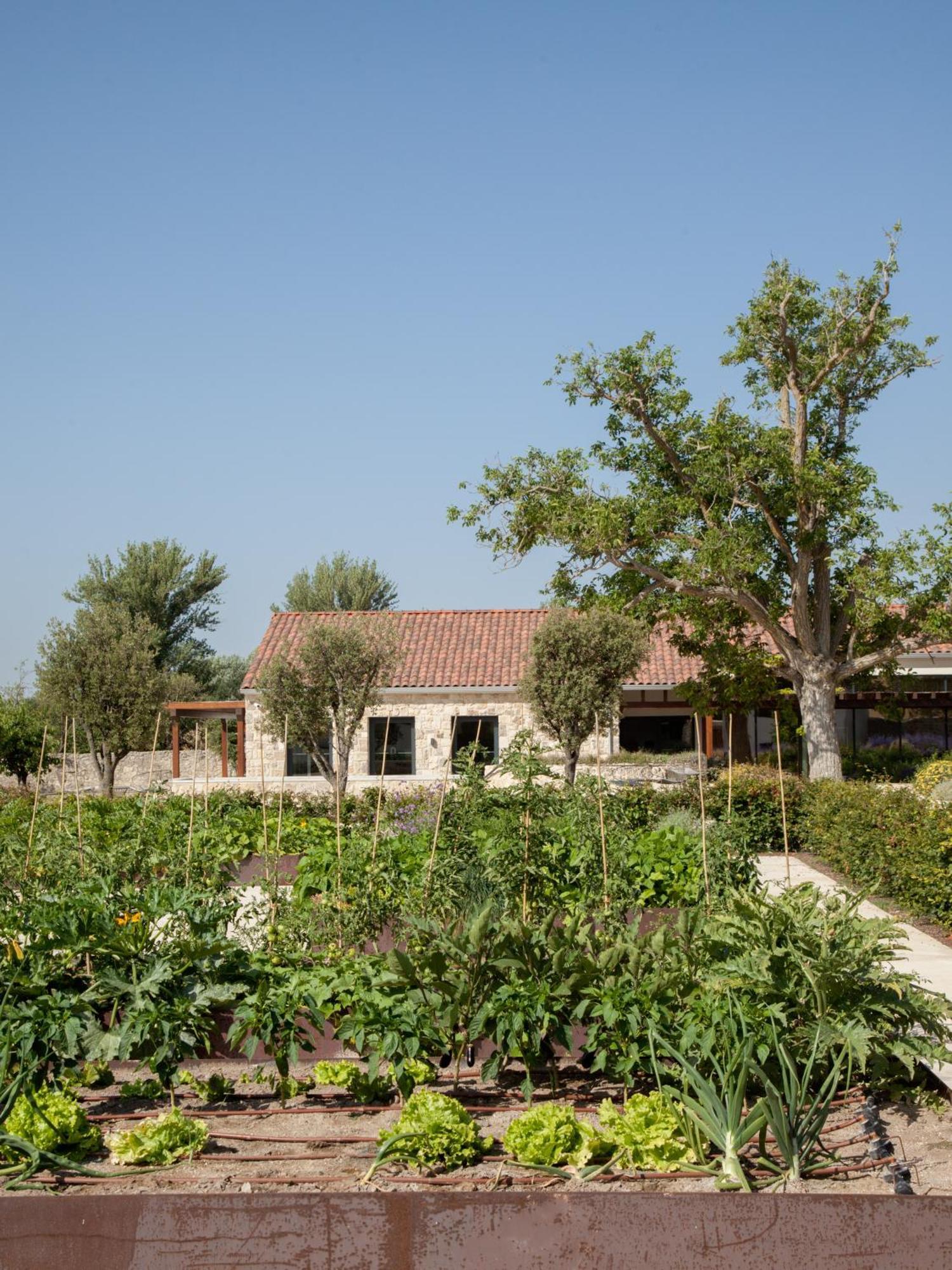 Quinta San Francisco Ξενοδοχείο Castrojeriz Εξωτερικό φωτογραφία